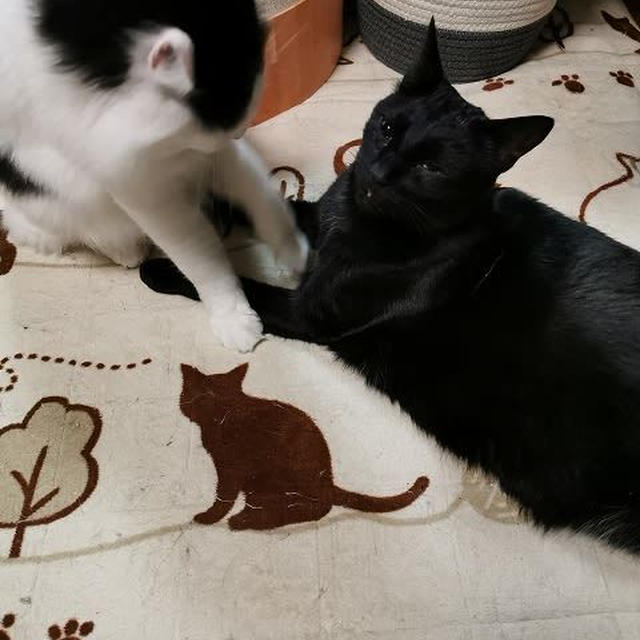 結膜炎かな？