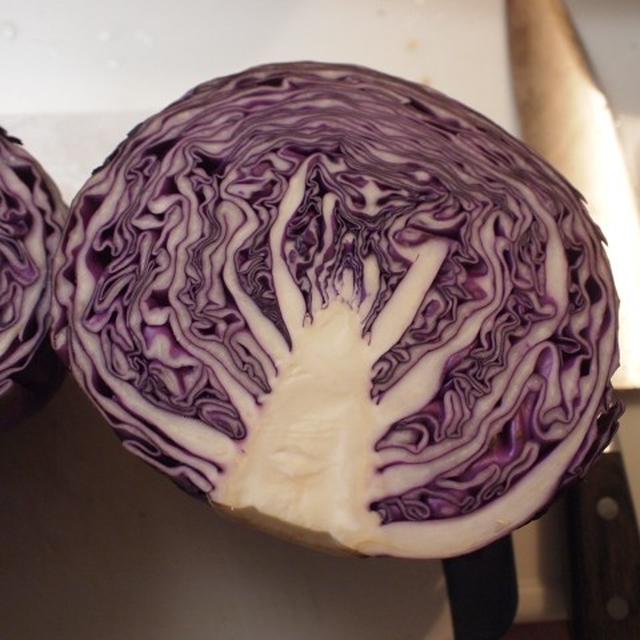 紫キャベツの断面 By 佐藤家さん レシピブログ 料理ブログのレシピ満載