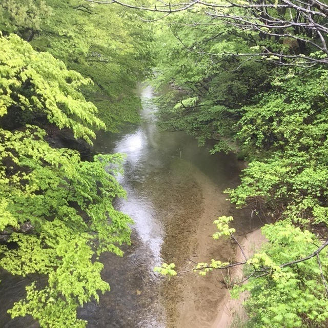 1日目：宮城峡蒸留所に行く　後編