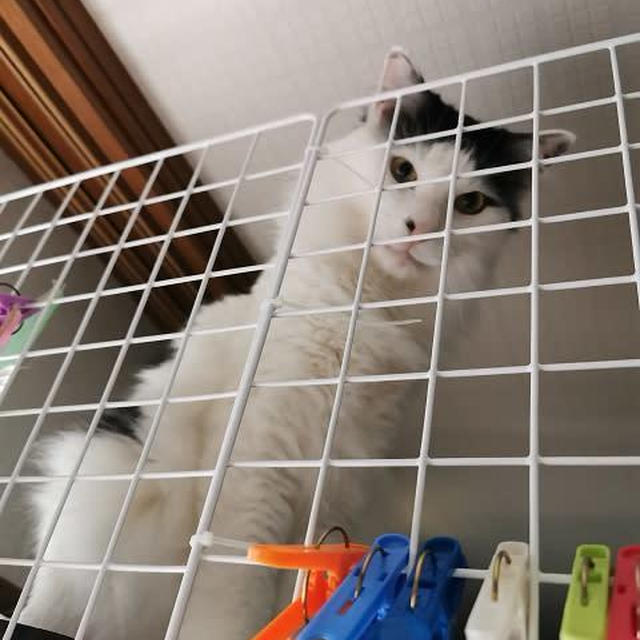 腹時計が正確なひとたち