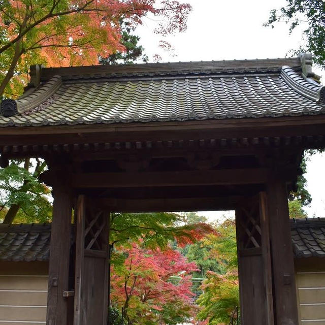 円覚寺の紅葉が綺麗で幸せ感じました。