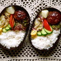 農家のたまにはお肉も食べたい弁当