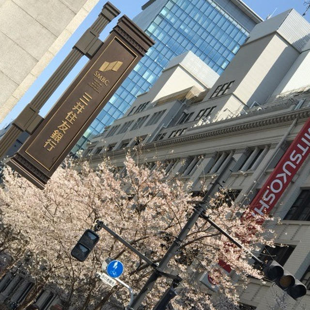 三越から日銀前の桜