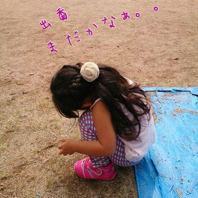２０１６*こども園運動会～感動の競技編～