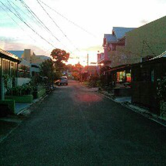 お散歩
