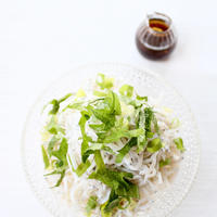 定番手軽な【しらすおろし（ぽん酢）】