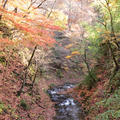 長野・城下町 上田 と 紅葉と