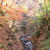 長野・城下町 上田 と 紅葉と