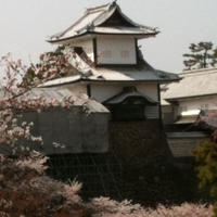 金沢