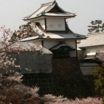金沢
