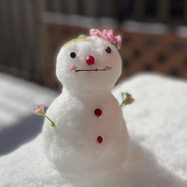 雪だるま to シフォンケーキ♡