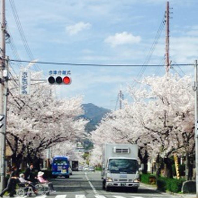４月だから！新しいことへのチャレンジ♪