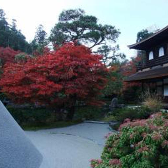 京都の旅　①銀閣寺、法然院、安楽寺、哲学の道