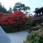 京都の旅　①銀閣寺、法然院、安楽寺、哲学の道