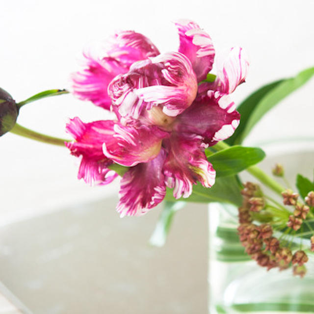 立てば芍薬、座れば牡丹......