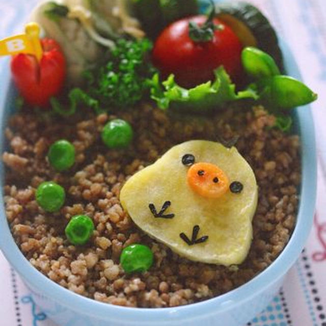キイロイトリのお弁当