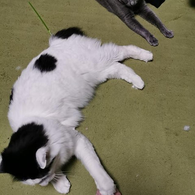 何も出来事がなくても