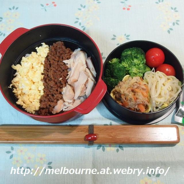 今年の抱負　★　お弁当は　三色ごはん