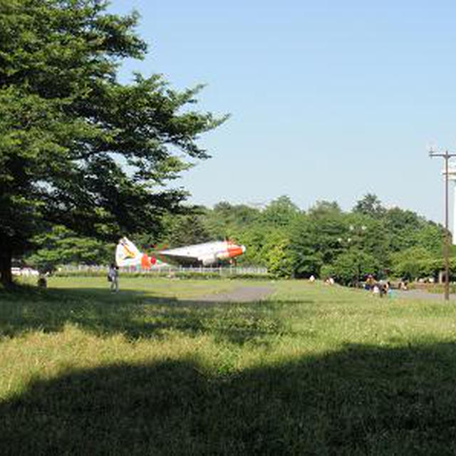 航空公園でピクニック