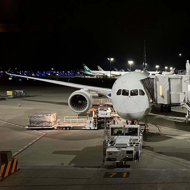 飛行機のアップグレード入札をしてみた結果‼︎