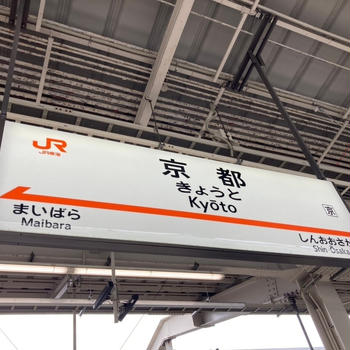 京都駅から3分！【鴨パト】でお昼限定の鴨料理堪能コースが最高だった！