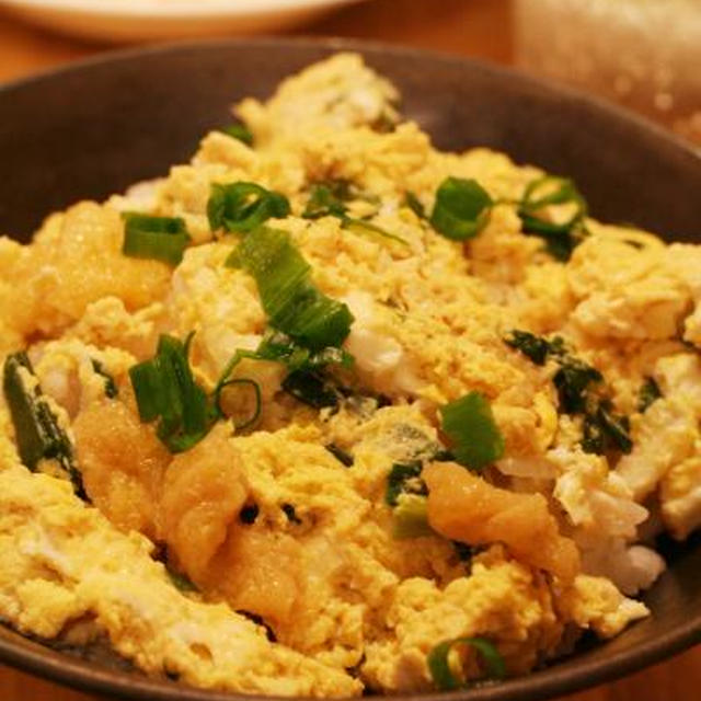 お給料日前の強い味方「衣笠丼」