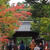 制限付き日本旅行2013年秋－京都編（３）