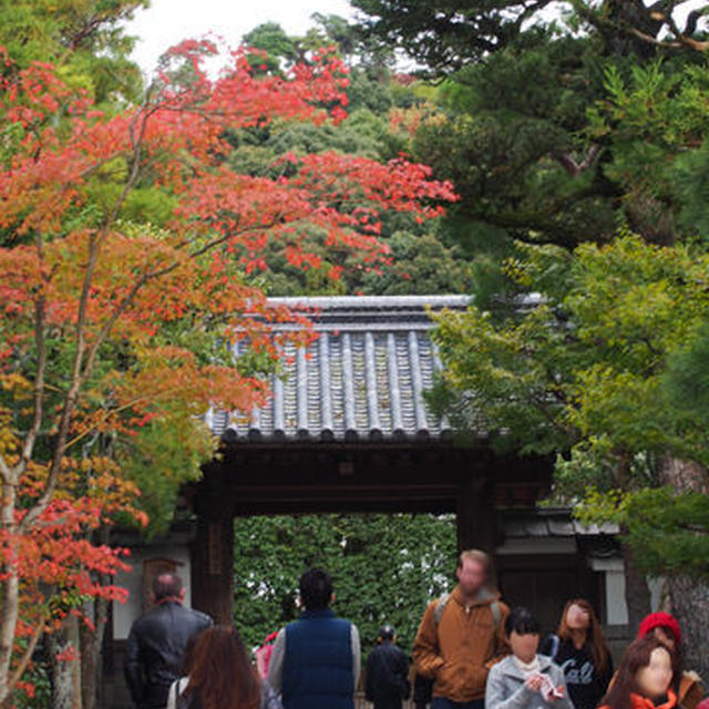 制限付き日本旅行2013年秋－京都編（３）