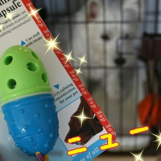 新年だから・・・。～おやびんブランカのカプセル～