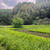 山道
