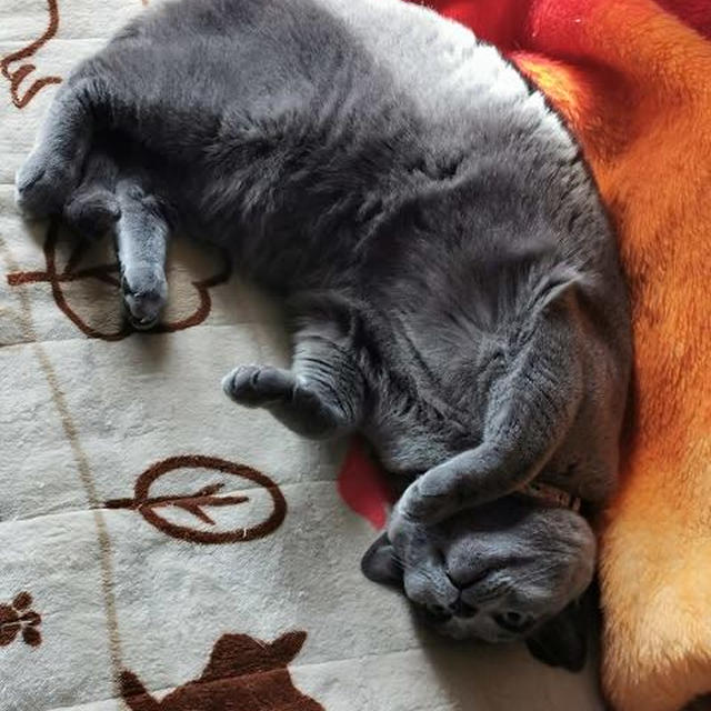 10年後