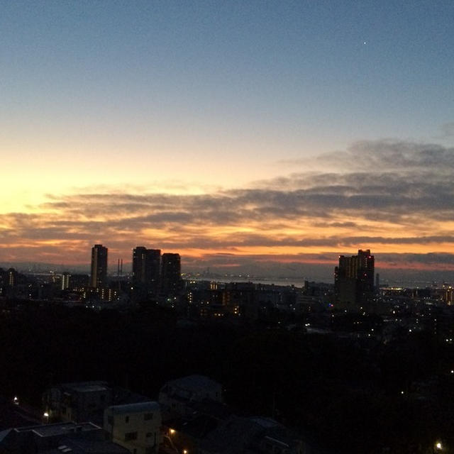 お弁当の夕食