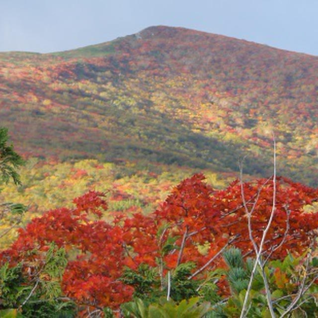 本州で1番早い紅葉の山の食材の朝食
