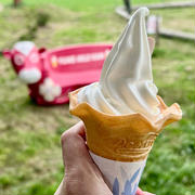 低温殺菌牛乳のソフトクリーム　石川県川北郡内灘町　ホリ牧場　夢ミルク館