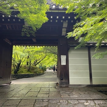 石庭を堪能、京都旅その2