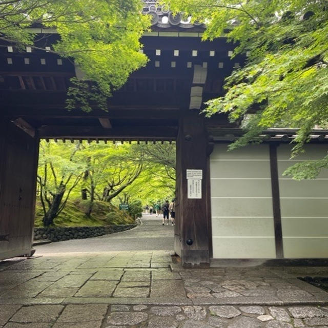石庭を堪能、京都旅その2