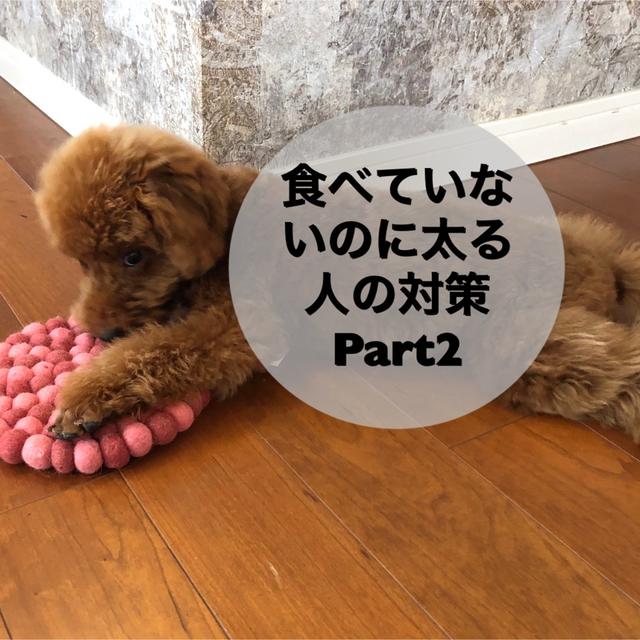 食べていないのに、太る人が気をつけたい事