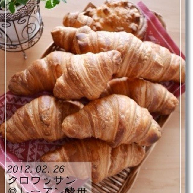 また(笑)ワッサン♪ ＆ チョコマフィン