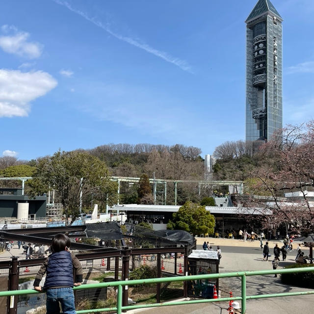 アラフォーになってはじめて知った。の、話。
