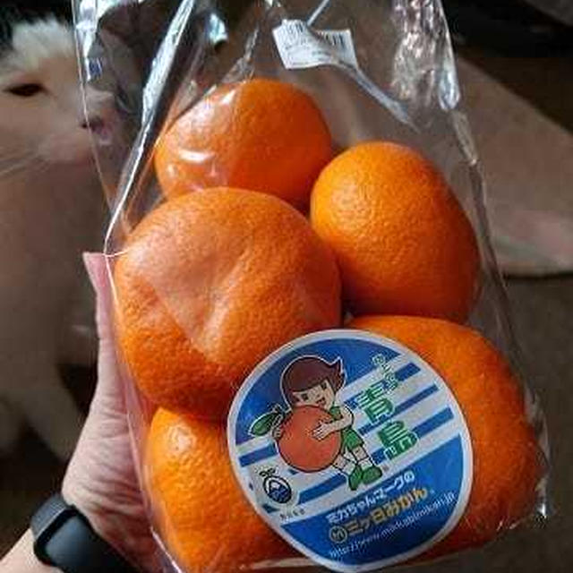 温州みかんの美味しい季節は終了かな