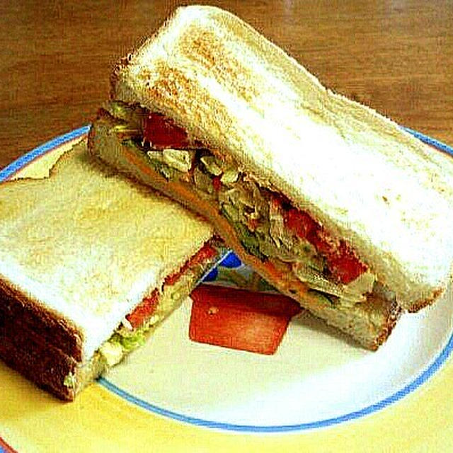 cheese vegetable sandwich