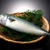 お魚講座、【鯖】追加します！