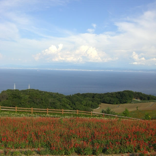 はじめまして。