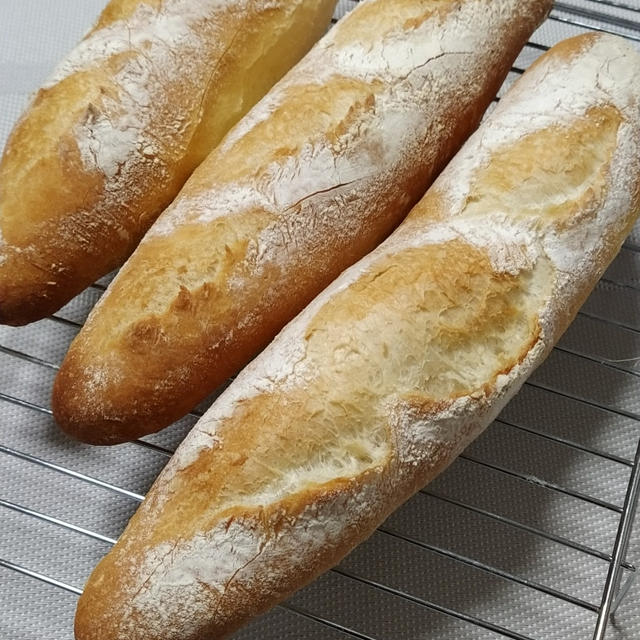 お気楽めんたいフランス