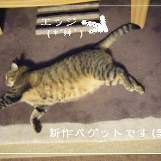 【記録】また地震。。。