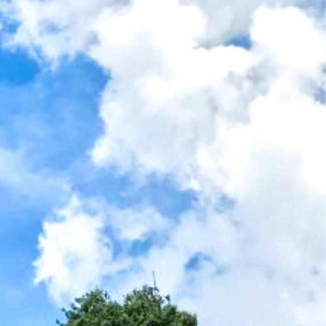 ありがとうございます。