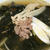 牛肉入りわかめスープ