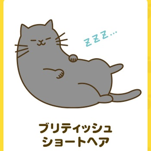まるで私 ねこ診断