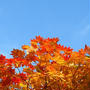 岩手紅葉山行（２）