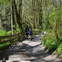 メドゥデェイル・カウンティー公園　Meadowdale County Park